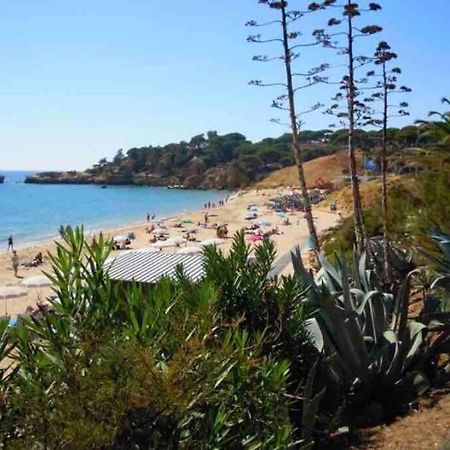 Vacations Home אלבופיירה מראה חיצוני תמונה