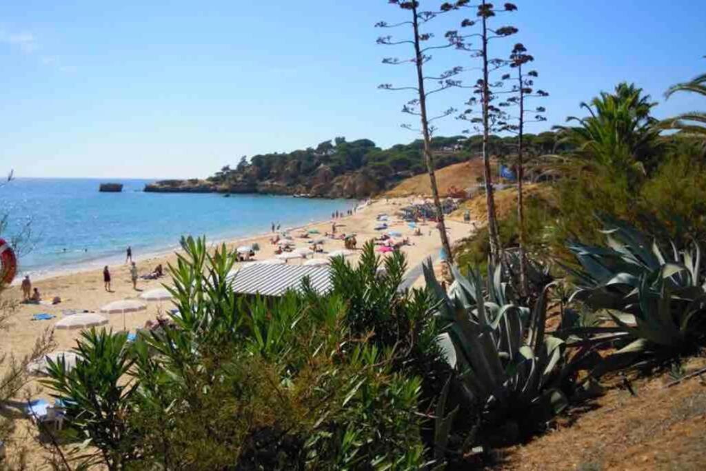 Vacations Home אלבופיירה מראה חיצוני תמונה